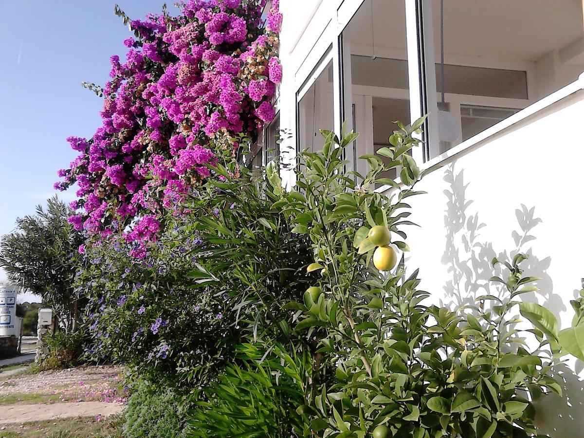 Apartment Sanja Petrcane Ngoại thất bức ảnh